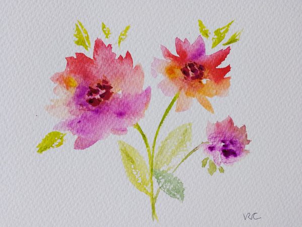 Colourful flowers