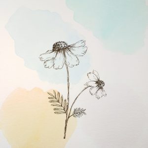 Flowers on pastel bubbles