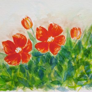 My garden in red