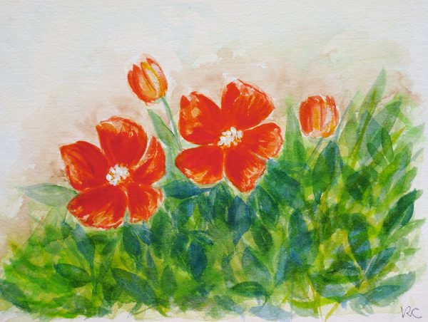 My garden in red