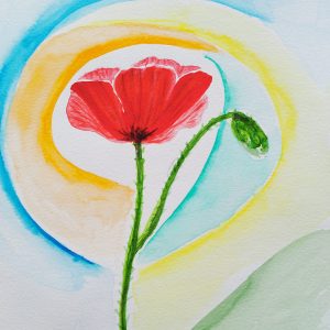 Poppy on a sunny day