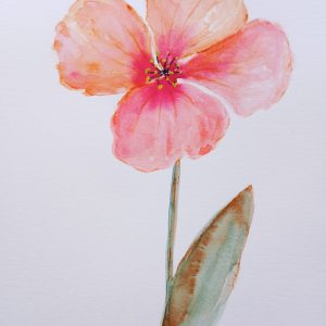Pretty flower
