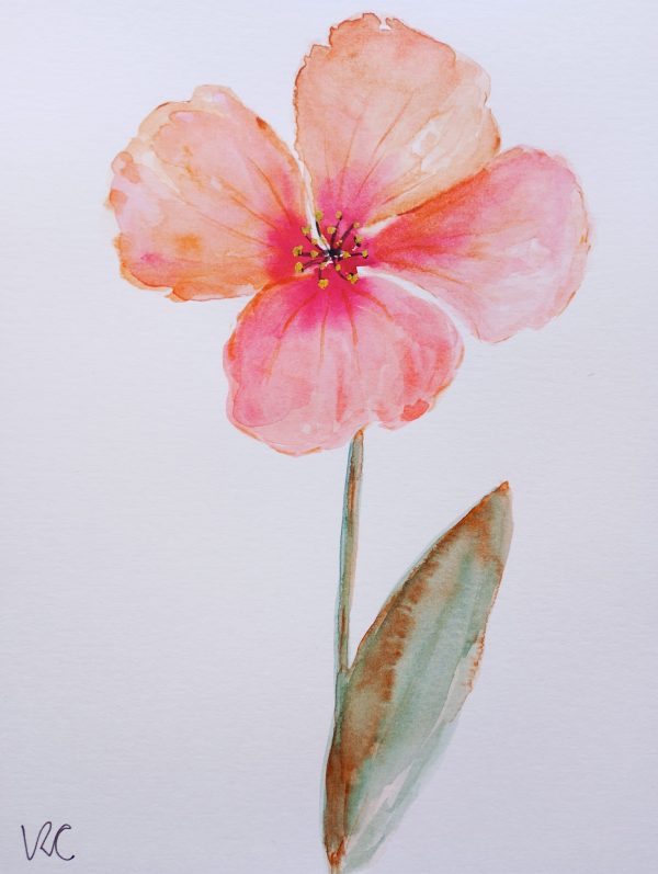 Pretty flower