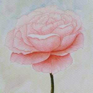 The dream flower