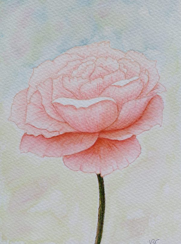 The dream flower