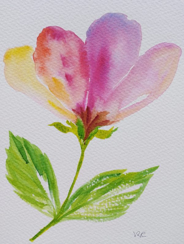 The pinkish flower