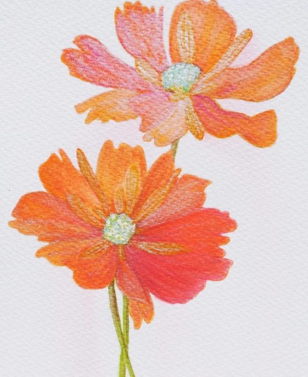 Orange shades