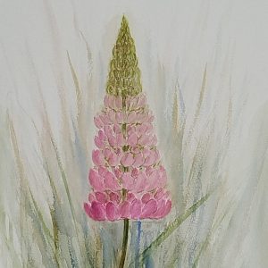 A touch of pink