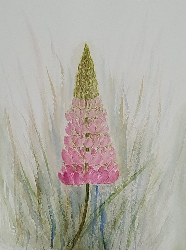 A touch of pink