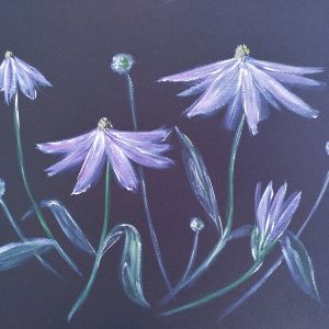 Purple daisies
