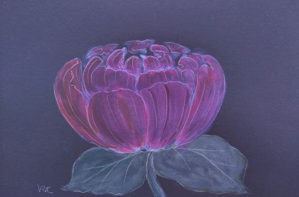 Red flower