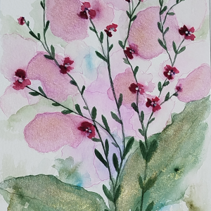 World of flowers