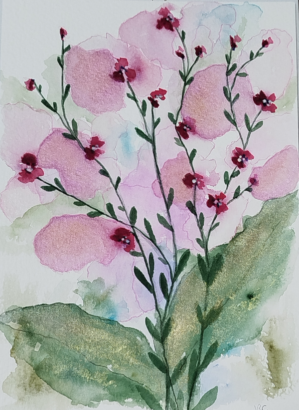 World of flowers